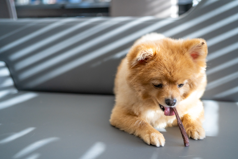 [自家製ペット用ジャーキー・ウルグアイ産・馬肺臓スティック50g]