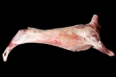 [yzƱ1}11.70kg()]