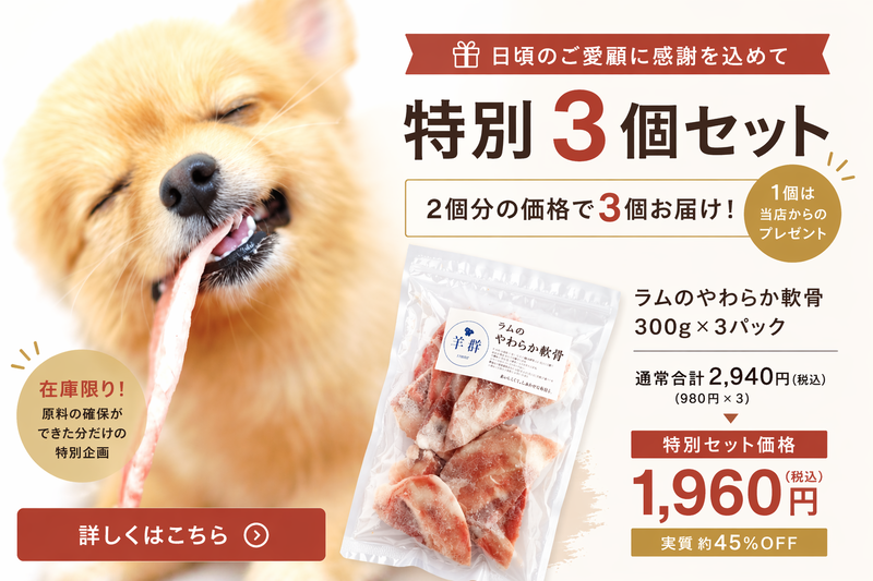 やわらか軟骨セール